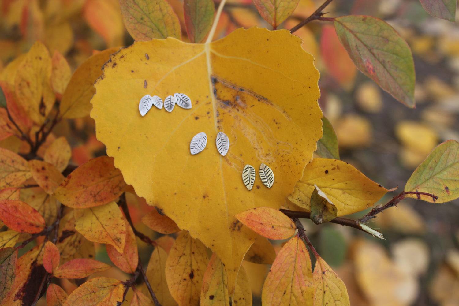 Leaf Studs