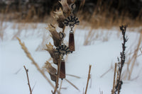 Dawn Earrings