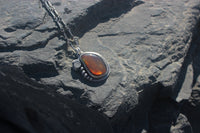 Ammonite Necklaces