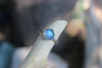 Size 9.5 Moonstone Starry Sky Ring