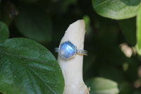 Size 9.5 Moonstone Starry Sky Ring